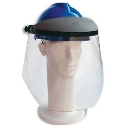 Kit Protetor Facial Msa 310 Incolor